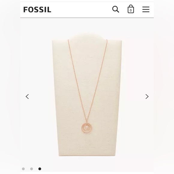 NWT Rose Gold Fossil Necklace - Picture 3 of 7